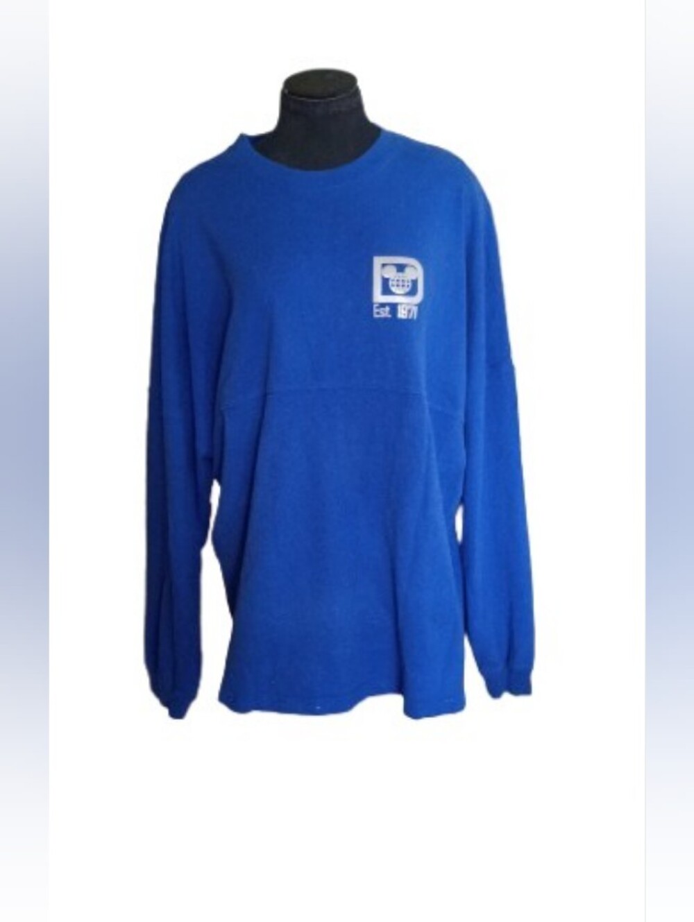 Disney Spirit Jersey — Walt Disney World Blue